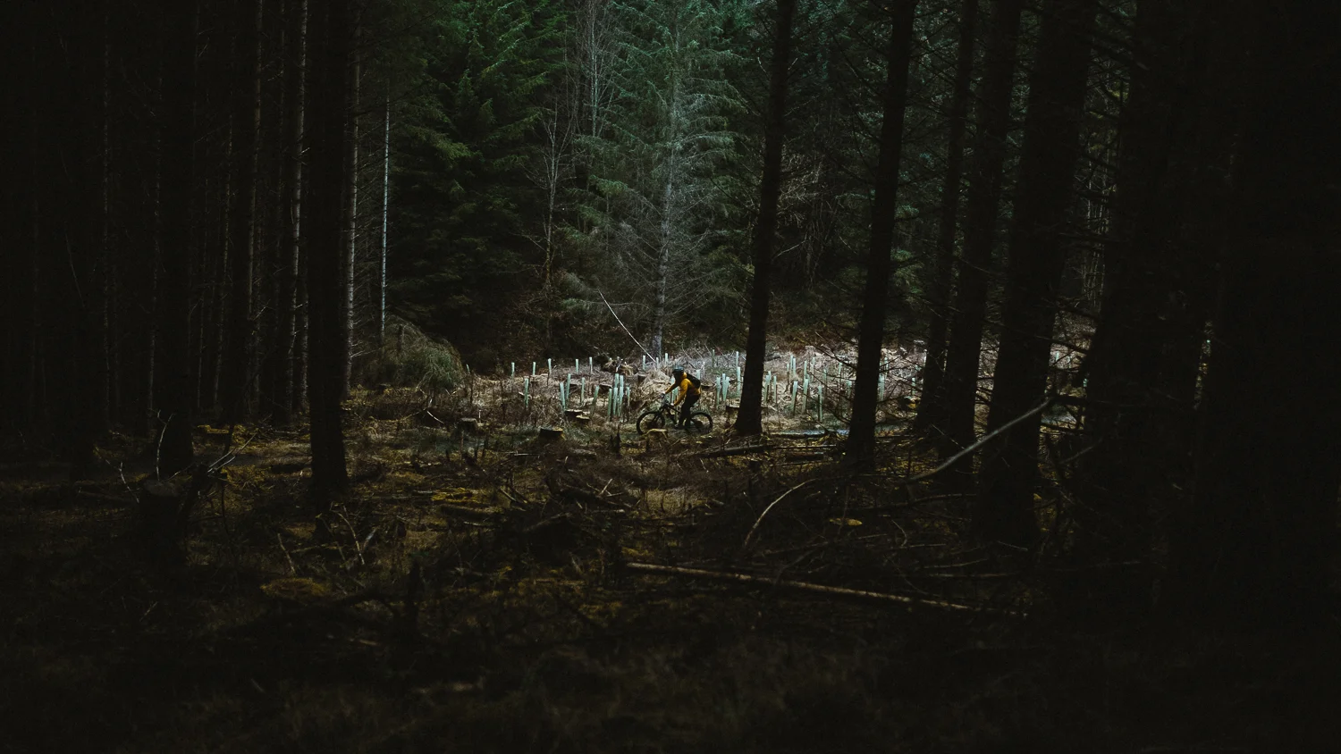 Scotland-Midlothian-Glentress