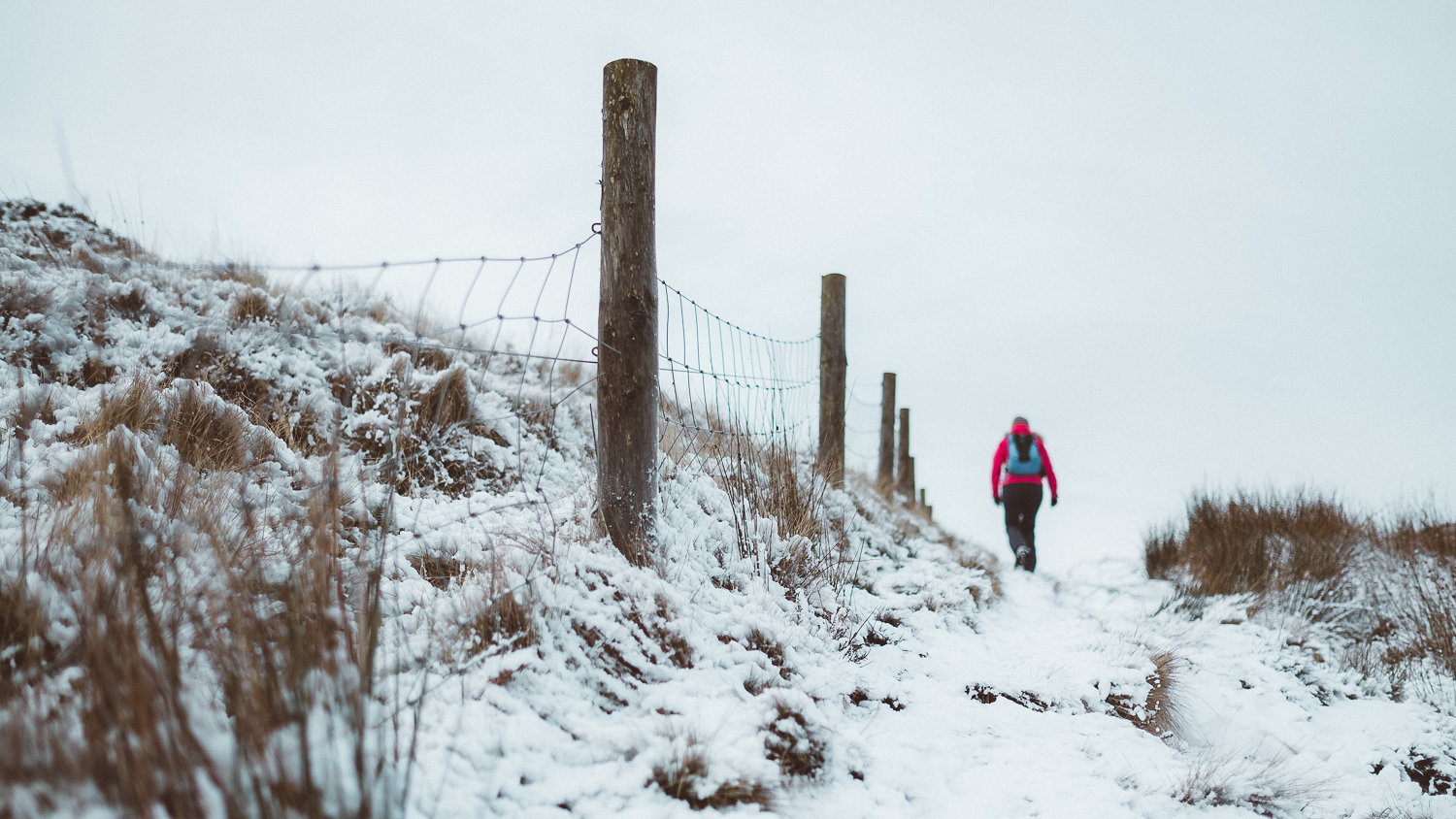0008-photography-trekking-snow-20171125130126.jpg