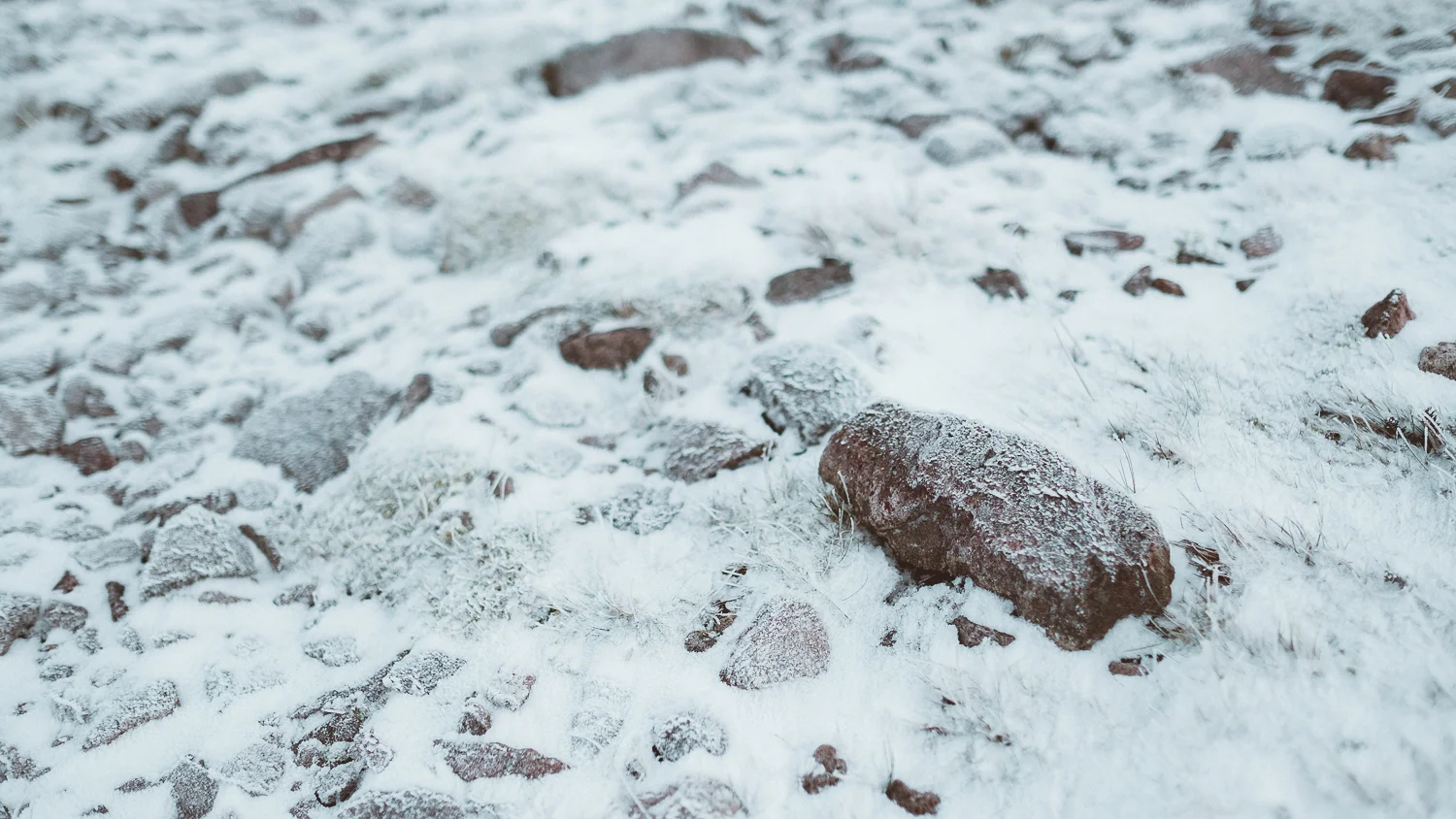 0016-photography-trekking-snow-20171125132336.jpg