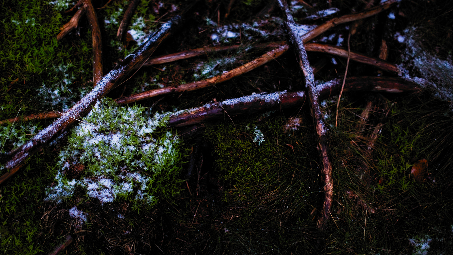 0004-winter-photography-auvergne-20171106105244.jpg