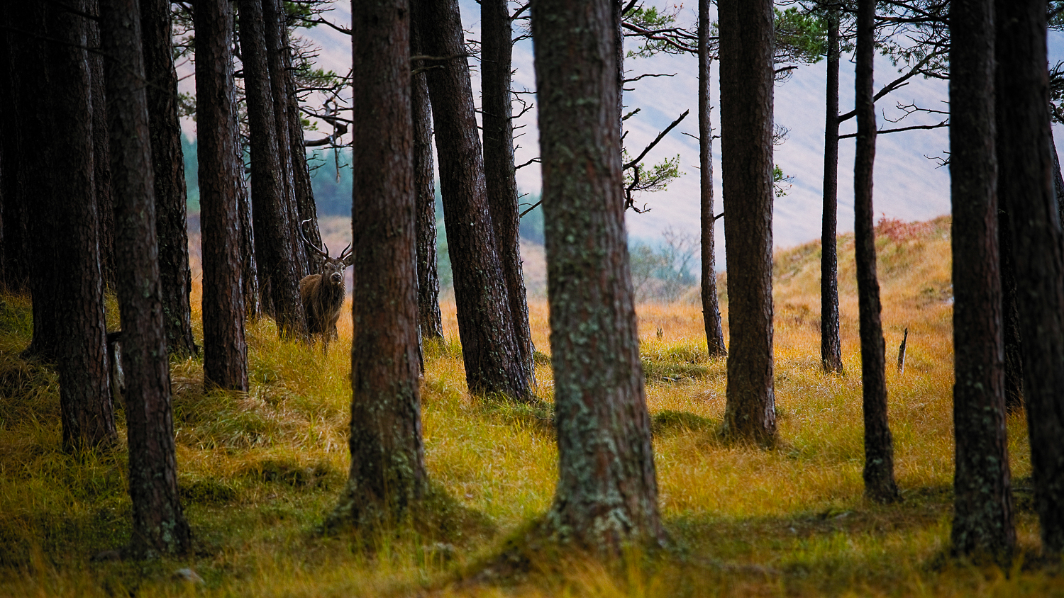 0001-workshop-glencoe-isle of skye-20171021155510.jpg