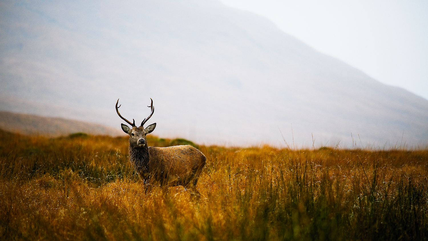 0015-workshop-glencoe-isle of skye-20171023080844.jpg