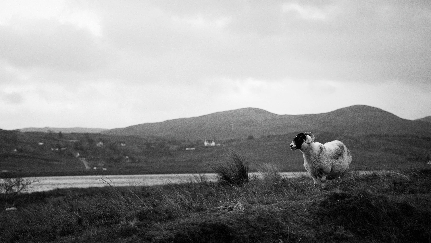 0031-workshop-glencoe-isle of skye-20171025153132.jpg