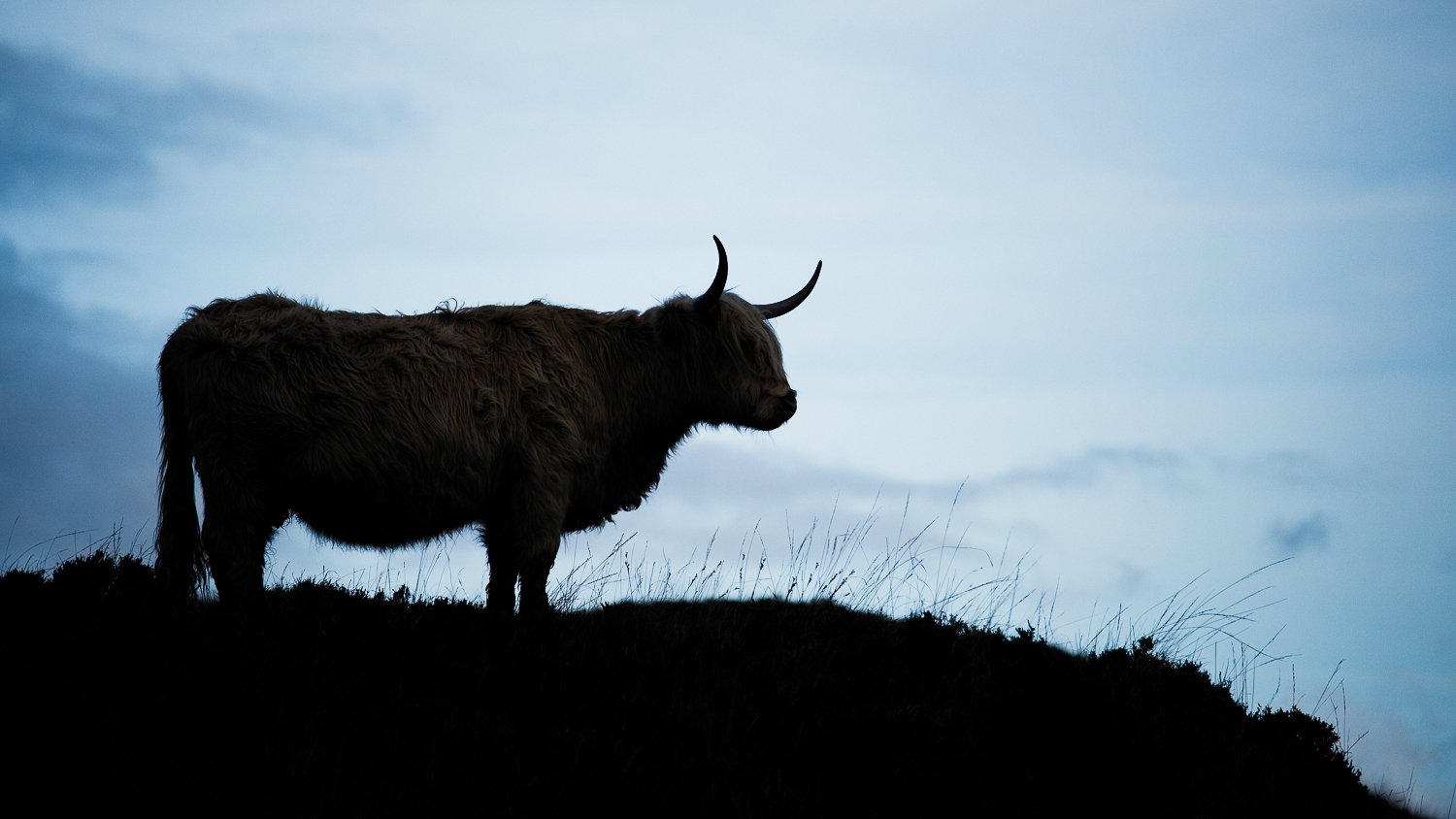 0047-workshop-glencoe-isle of skye-20171027101445.jpg