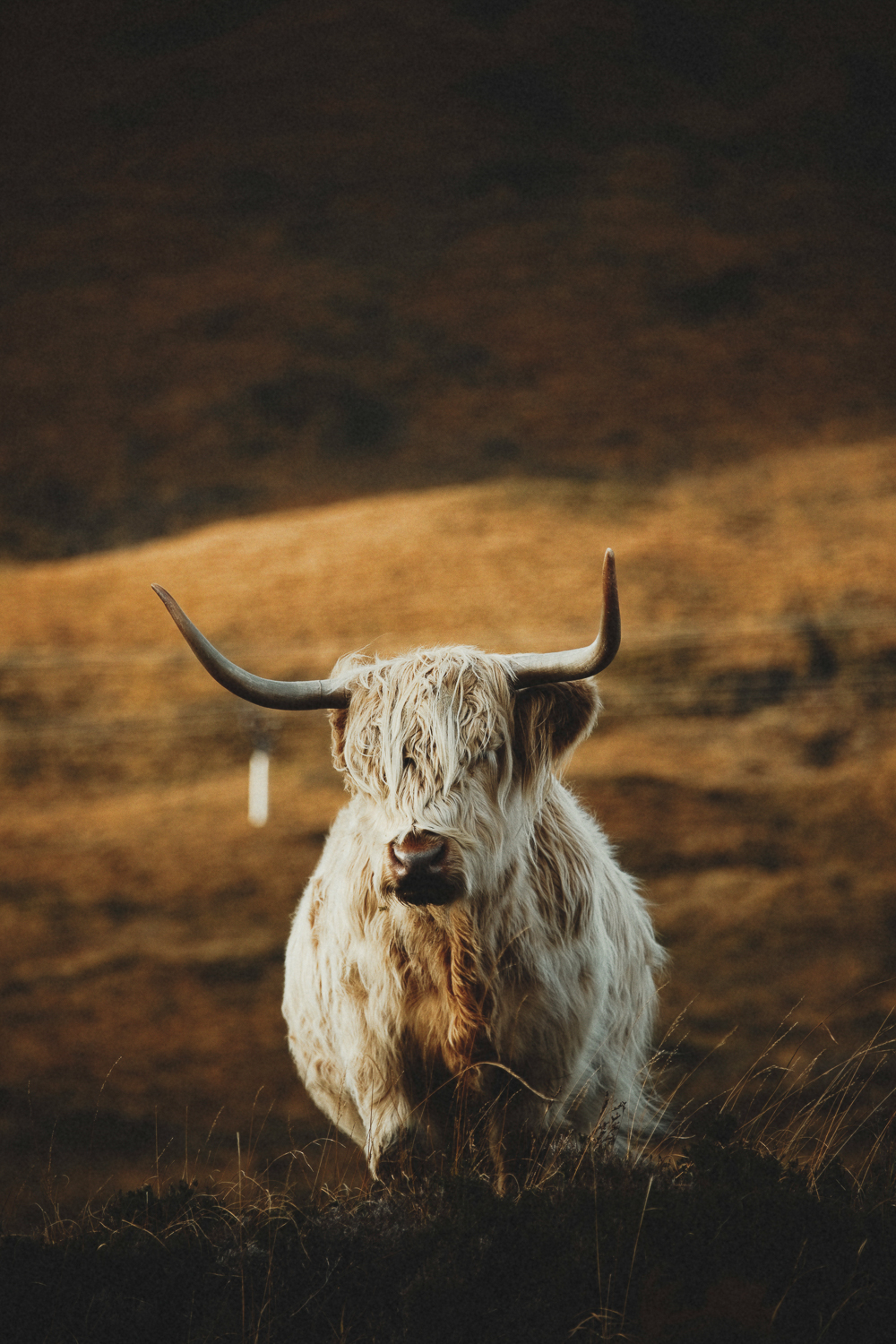 0048-workshop-glencoe-isle of skye-20171027102923.jpg