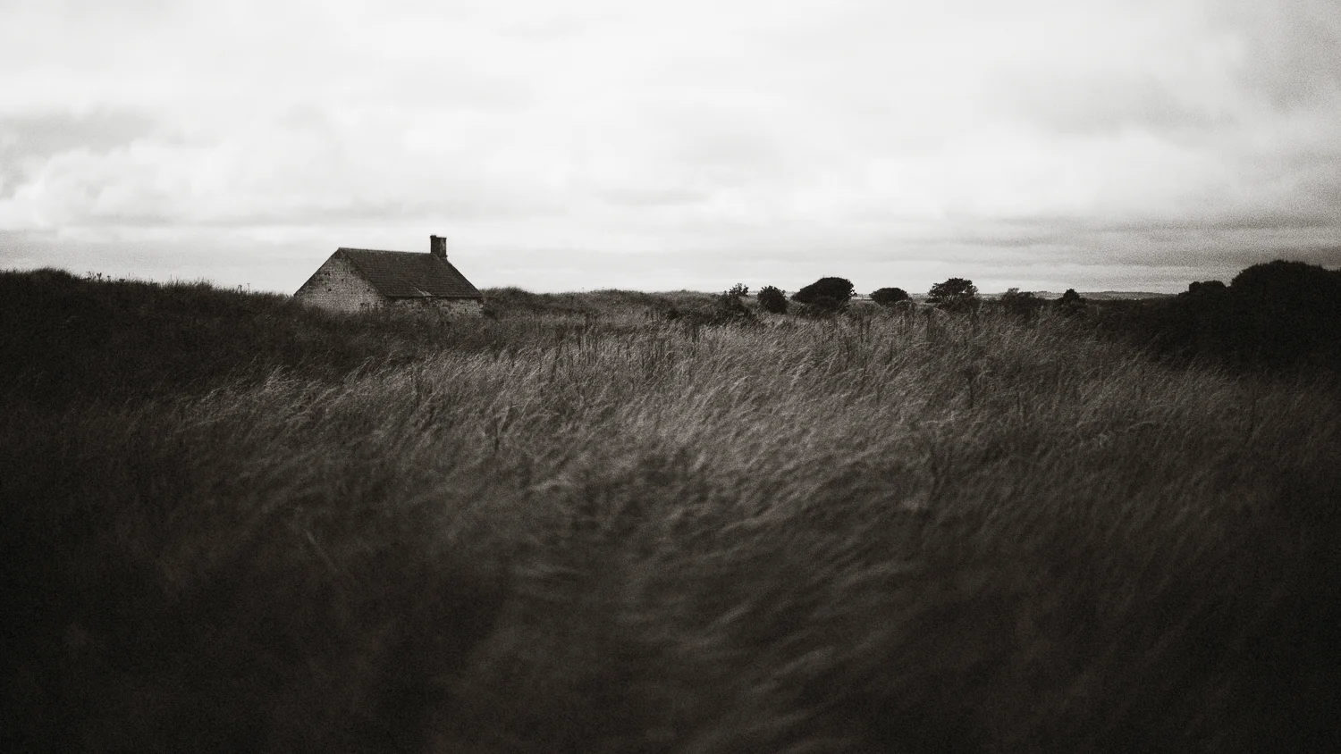Scotland-Angus-East Coast