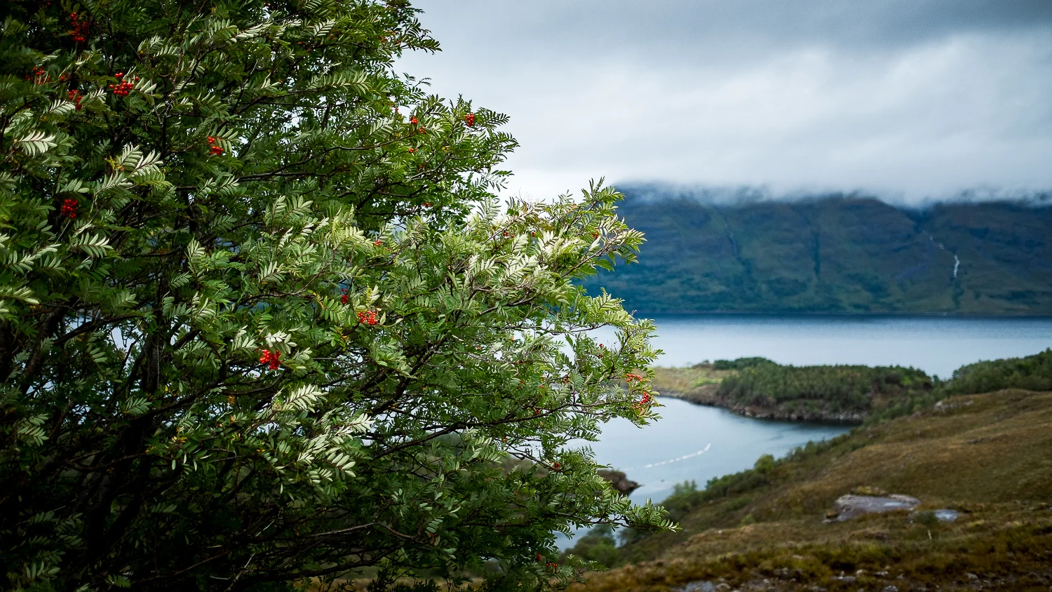 Scotland-Sutherland-Lochinver Road Trip Avec Jean Michel PDM