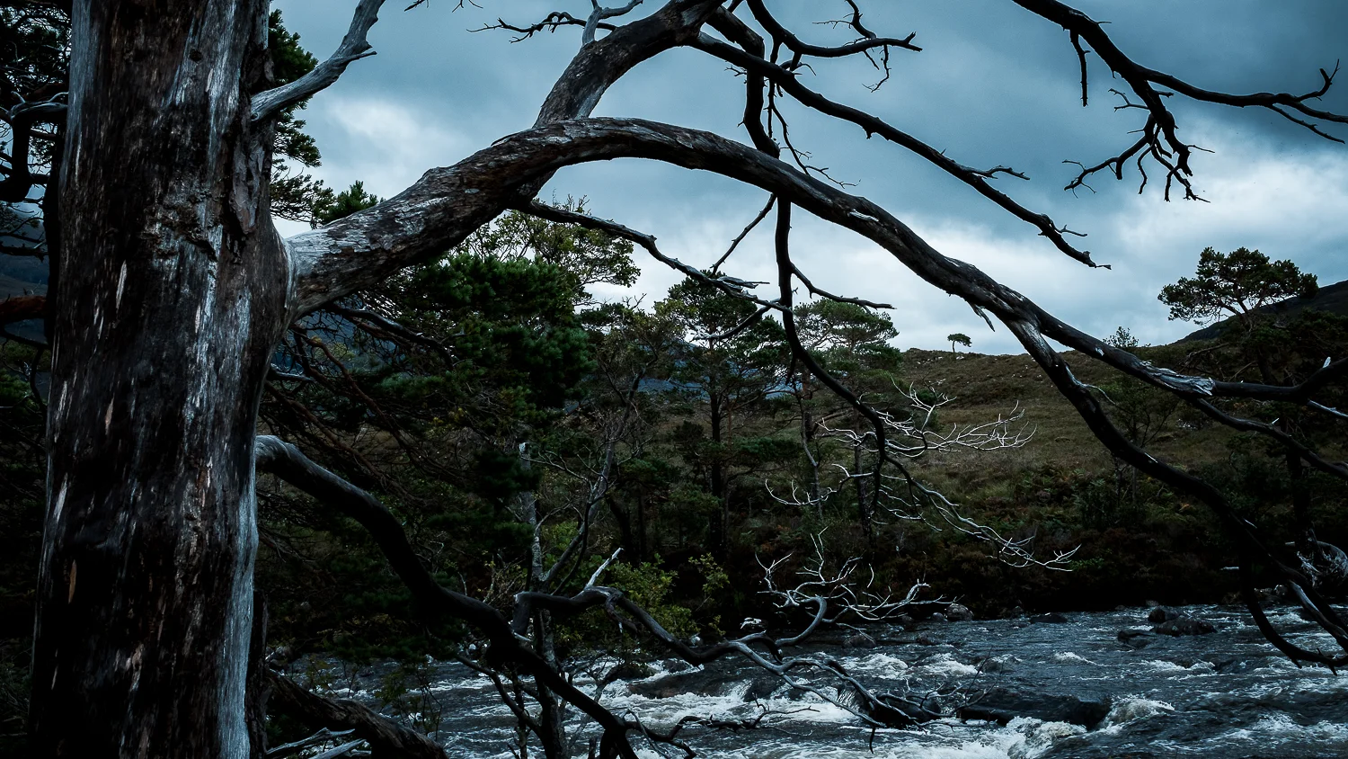 Scotland-Sutherland-Lochinver Road Trip Avec Jean Michel PDM