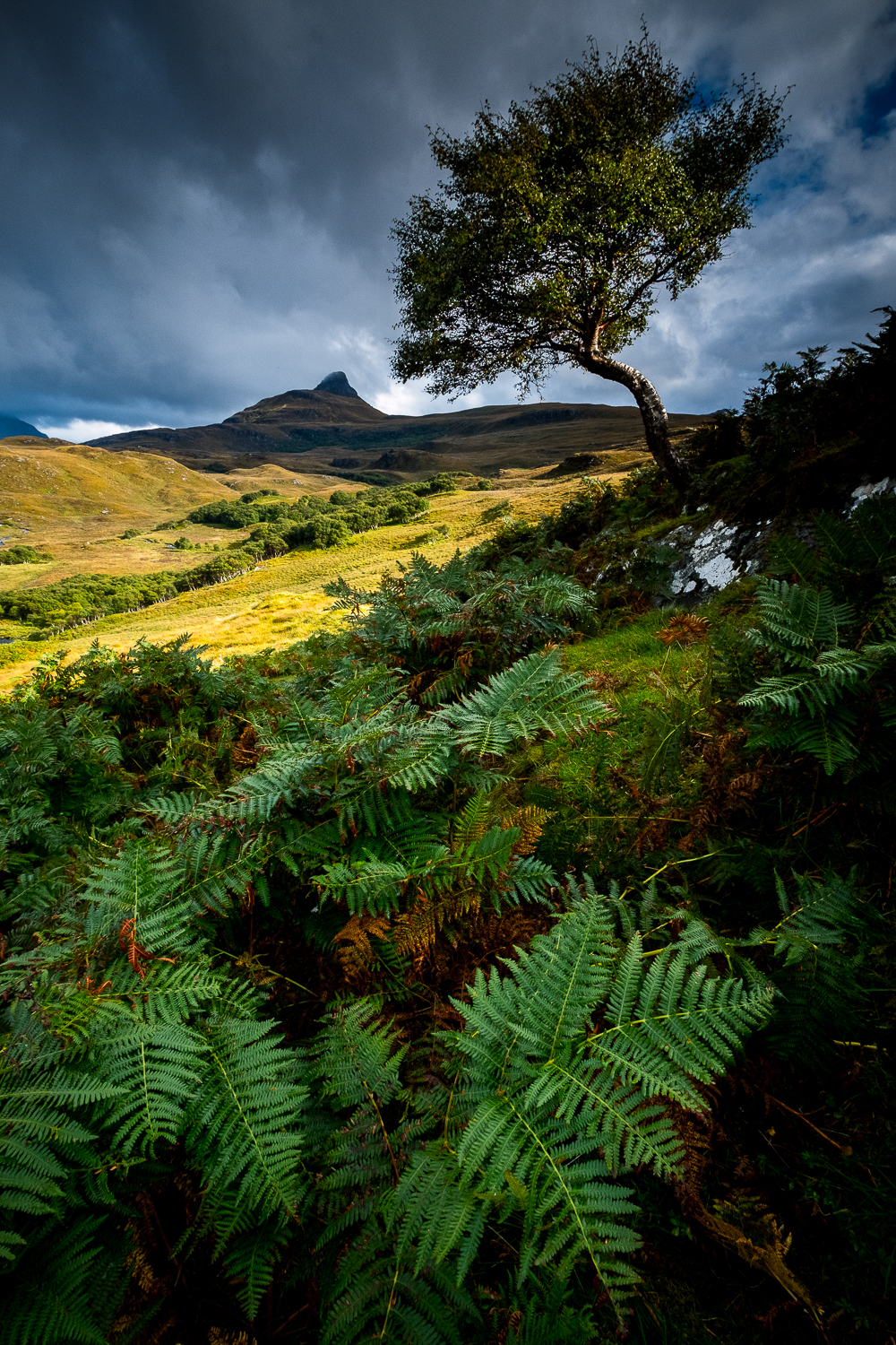 Scotland-Sutherland-Lochinver Road Trip Avec Jean Michel PDM