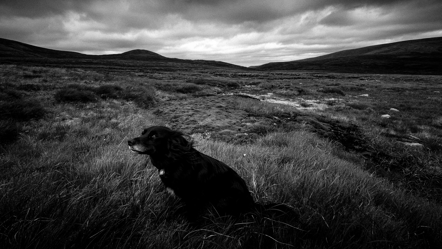 Scotland-Aberdeenshire-Braemar-Cairngorms