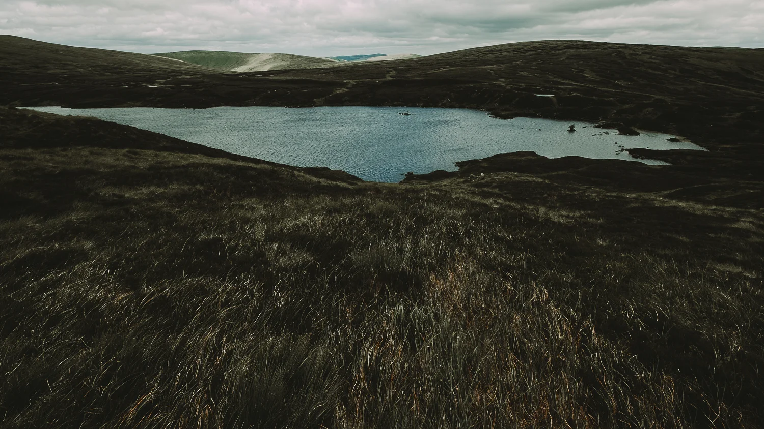 Scotland-Drumfies and Galloway-Gray Mare Nature Reserve