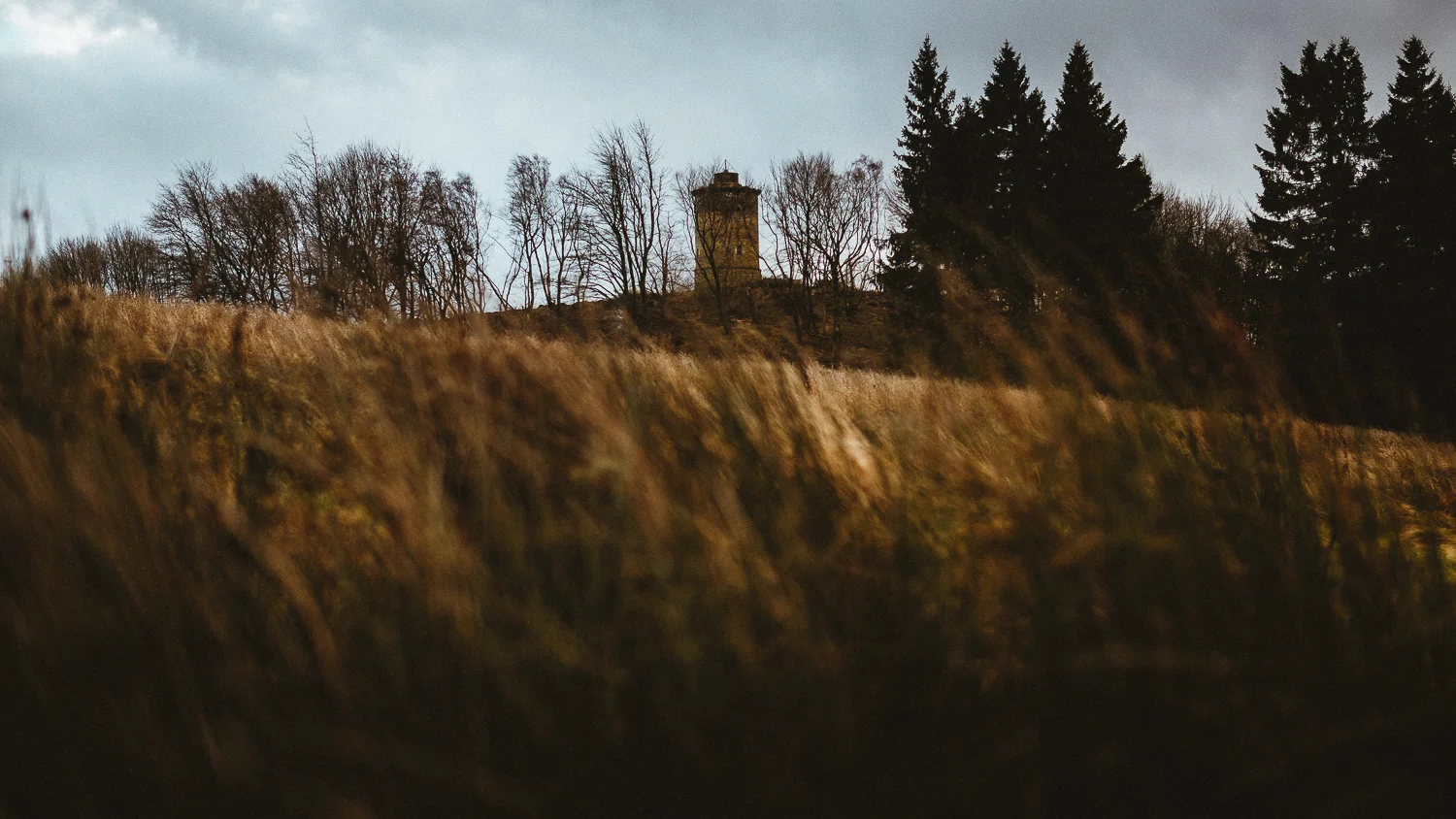 Scotland-Midlothian-Penicuik-Shooting with Monica and Lukasz