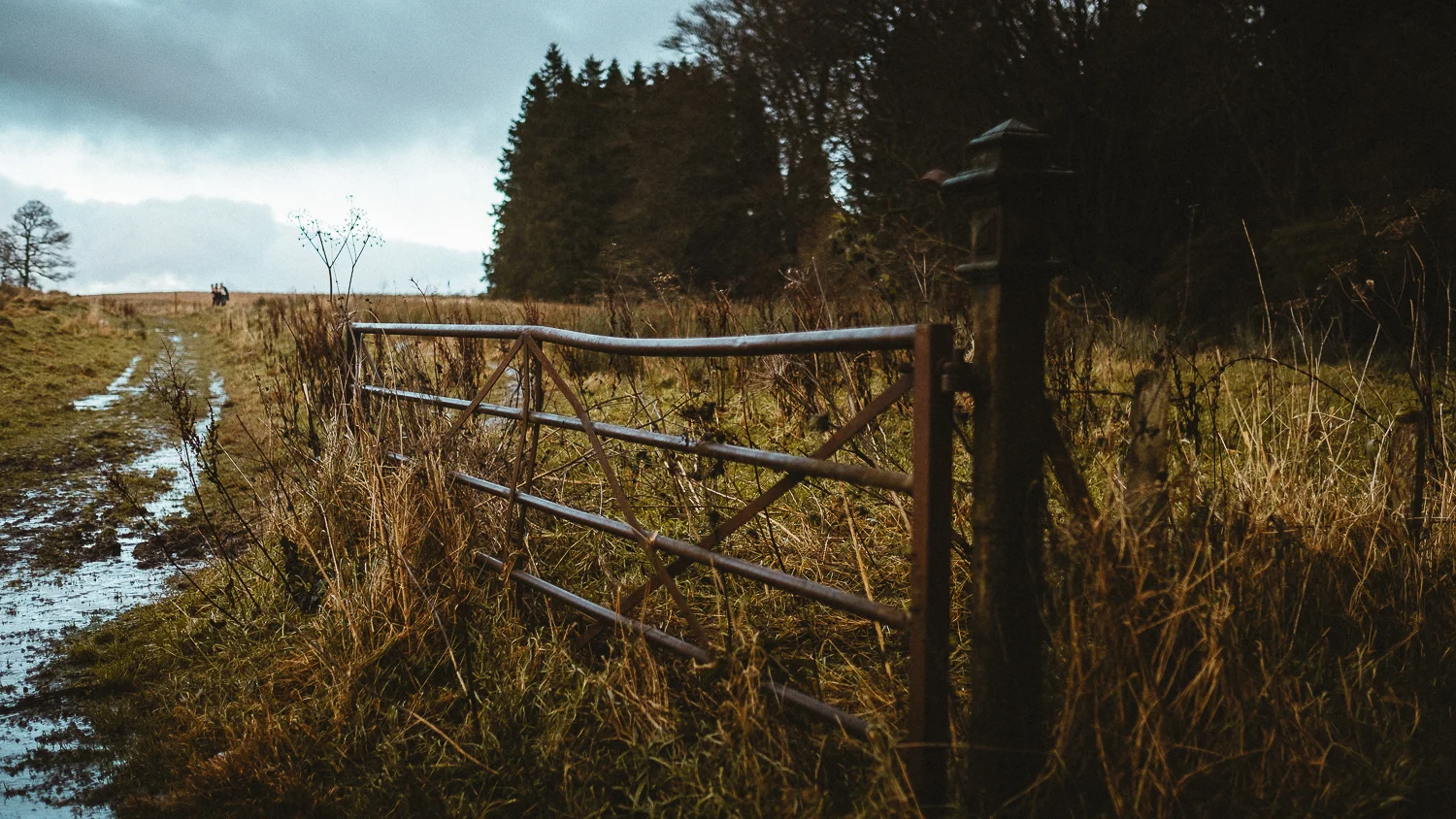 Scotland-Midlothian-Penicuik-Shooting with Monica and Lukasz