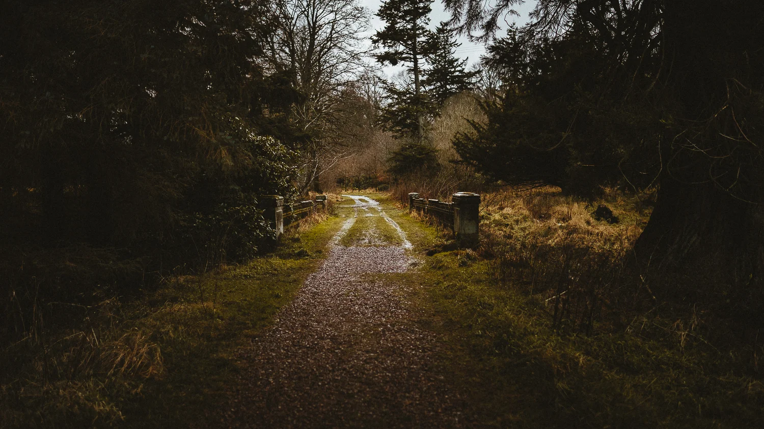 Scotland-Midlothian-Penicuik-Shooting with Monica and Lukasz