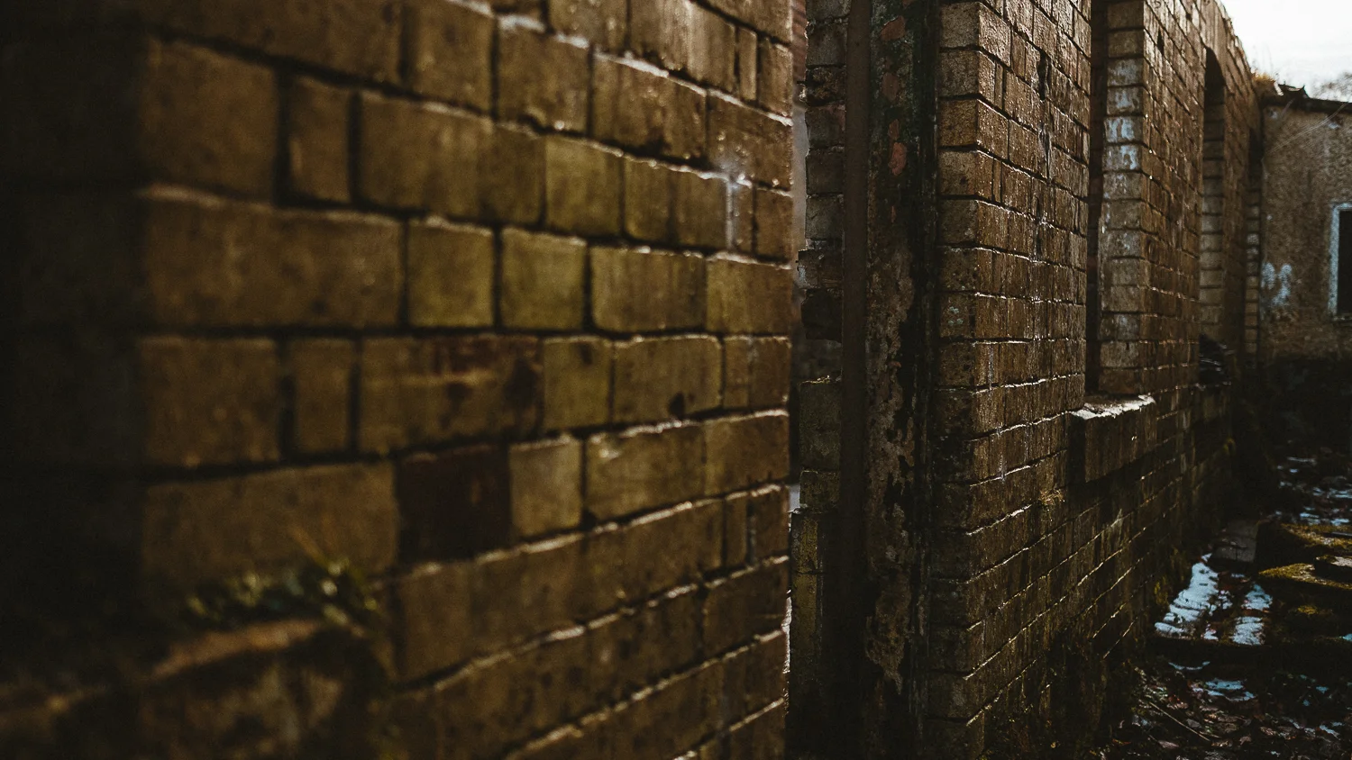 Scotland-Midlothian-Penicuik-Shooting with Monica and Lukasz