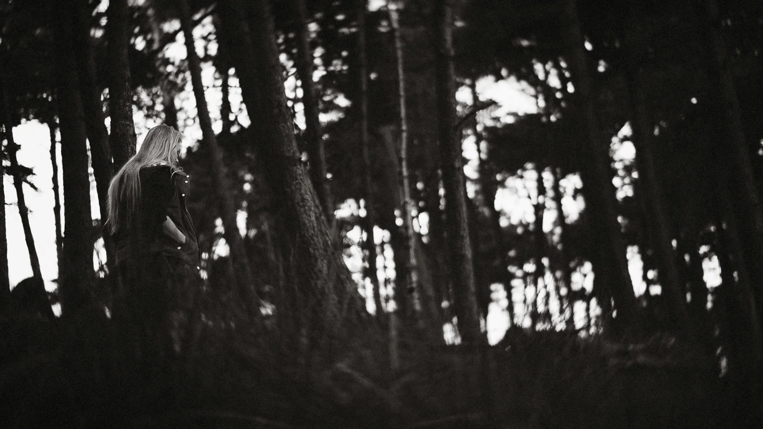 Scotland-Midlothian-Penicuik-Pentlands-Shooting Marlene
