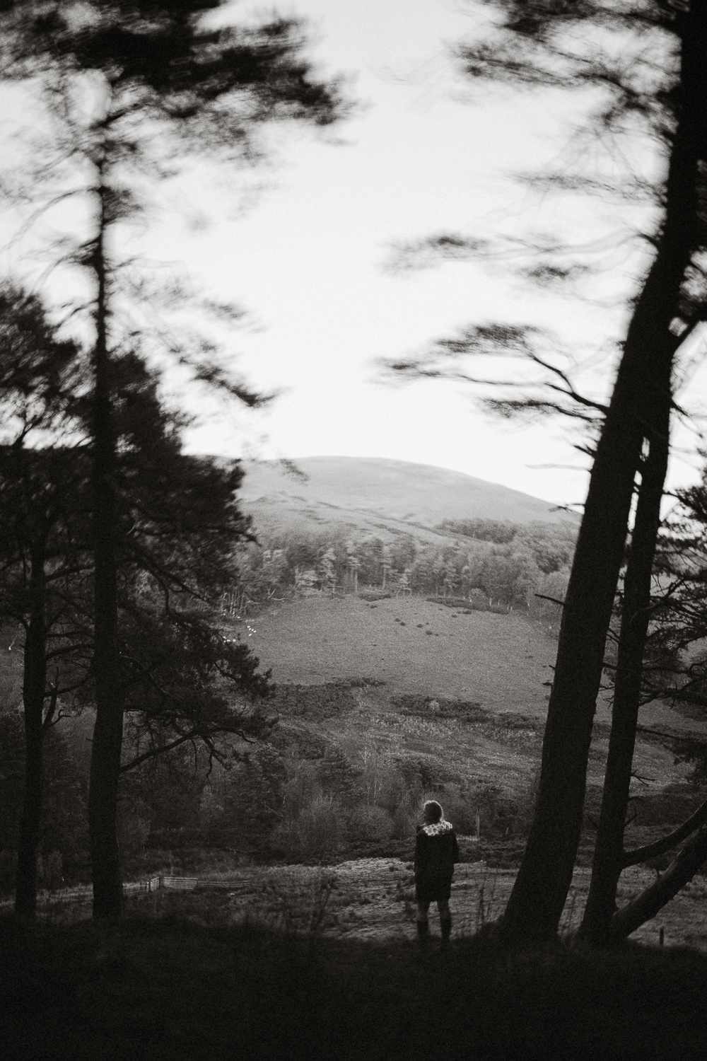 Scotland-Midlothian-Penicuik-Pentlands-Shooting Marlene