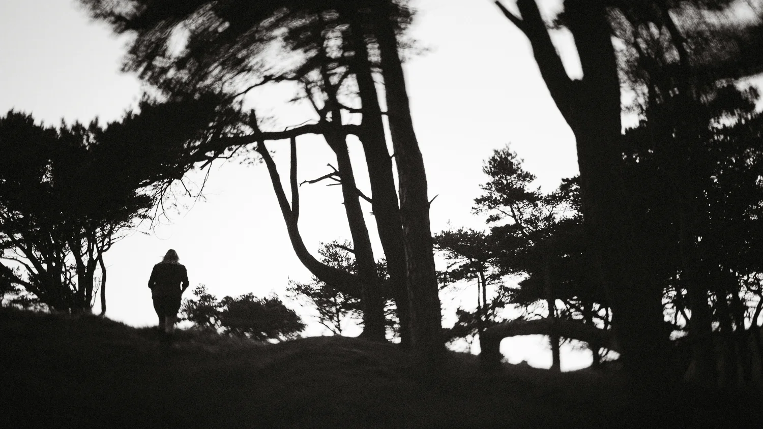 Scotland-Midlothian-Penicuik-Pentlands-Shooting Marlene