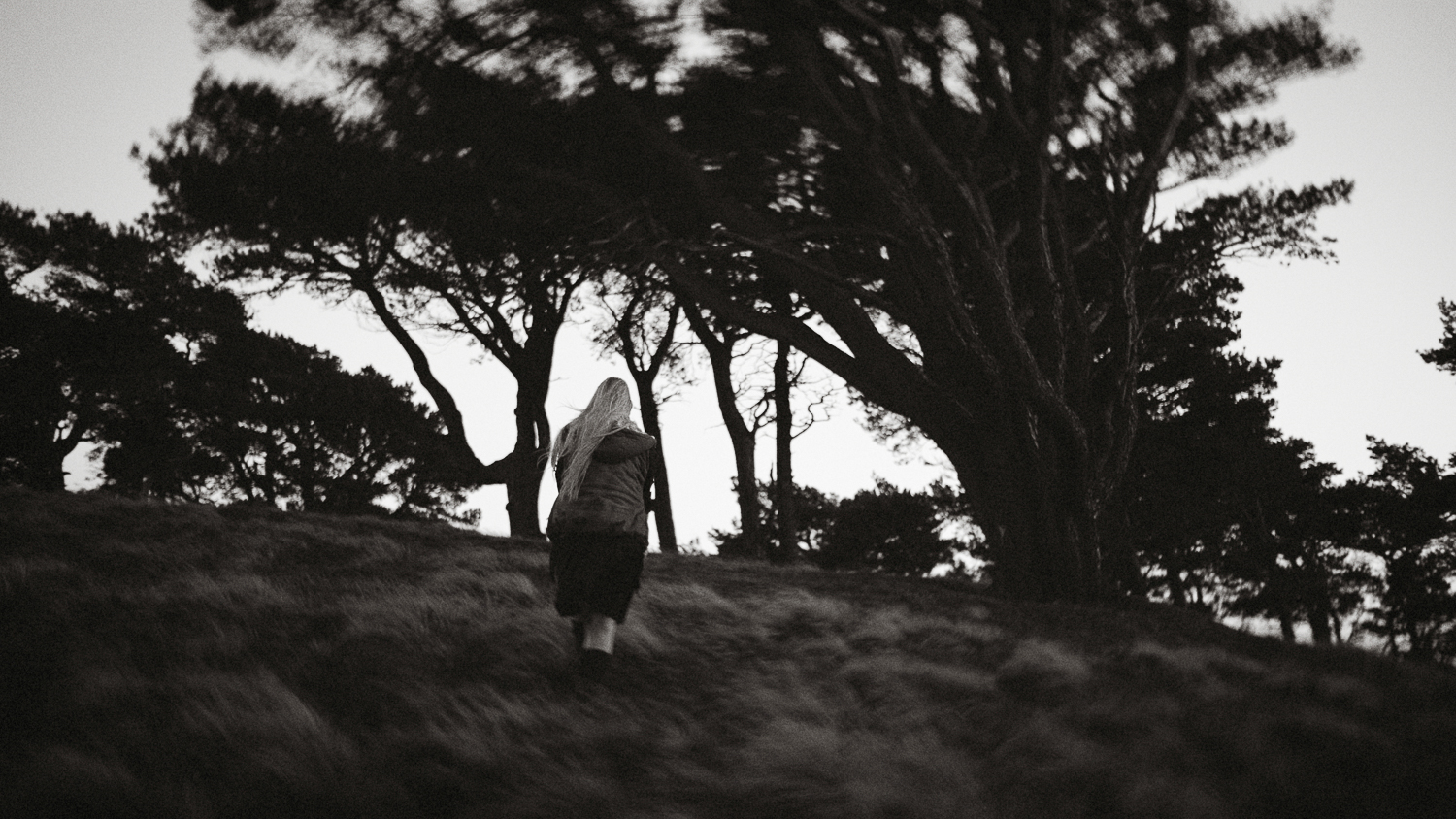 Scotland-Midlothian-Penicuik-Pentlands-Shooting Marlene