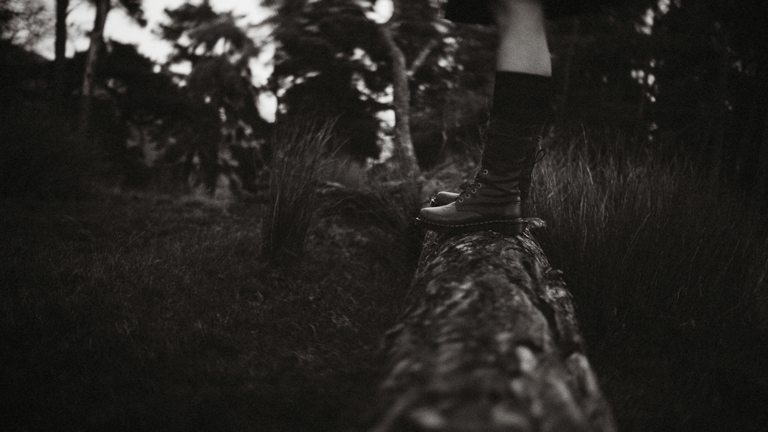 Scotland-Midlothian-Penicuik-Pentlands-Shooting Marlene