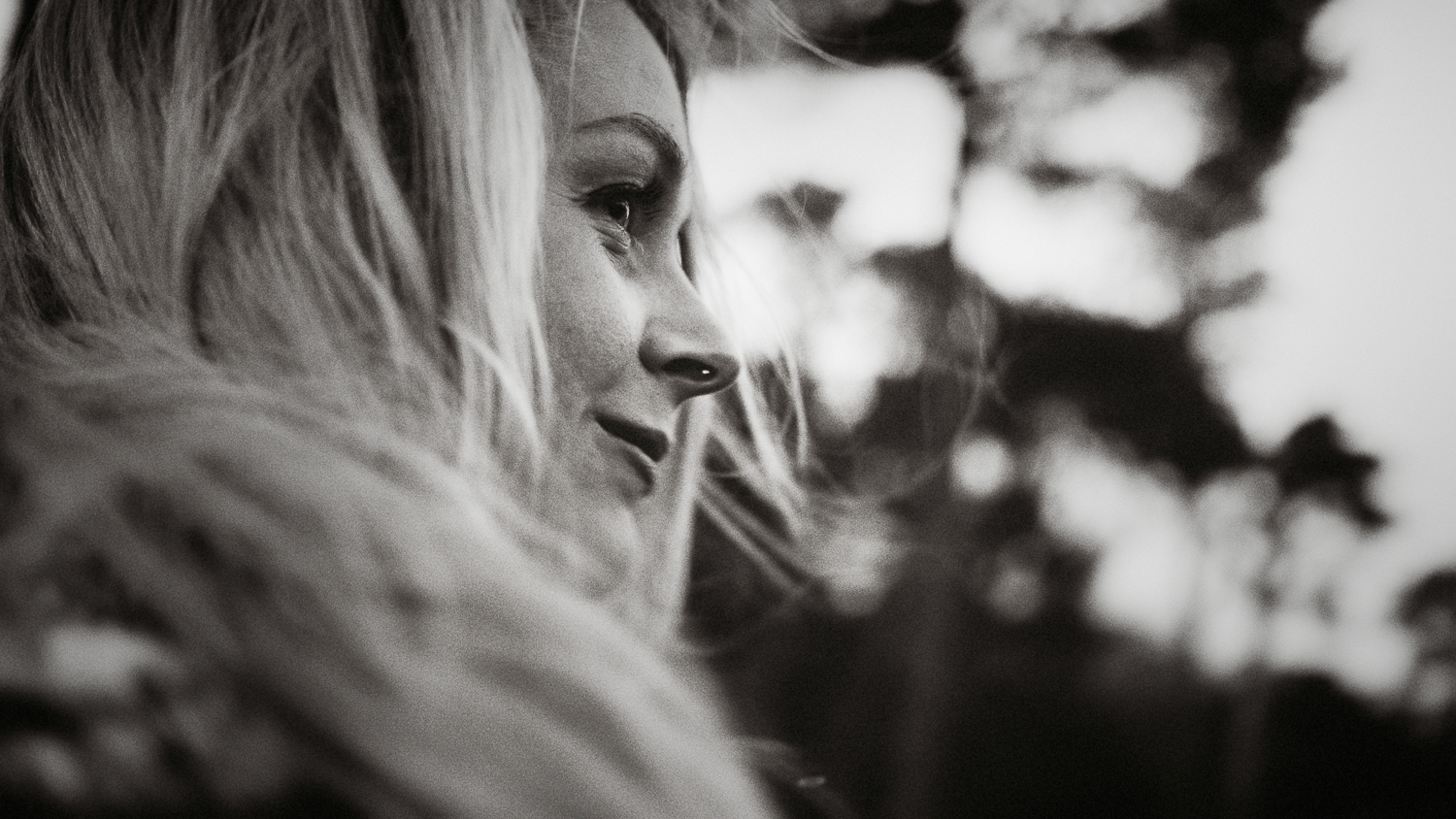 Scotland-Midlothian-Penicuik-Pentlands-Shooting Marlene