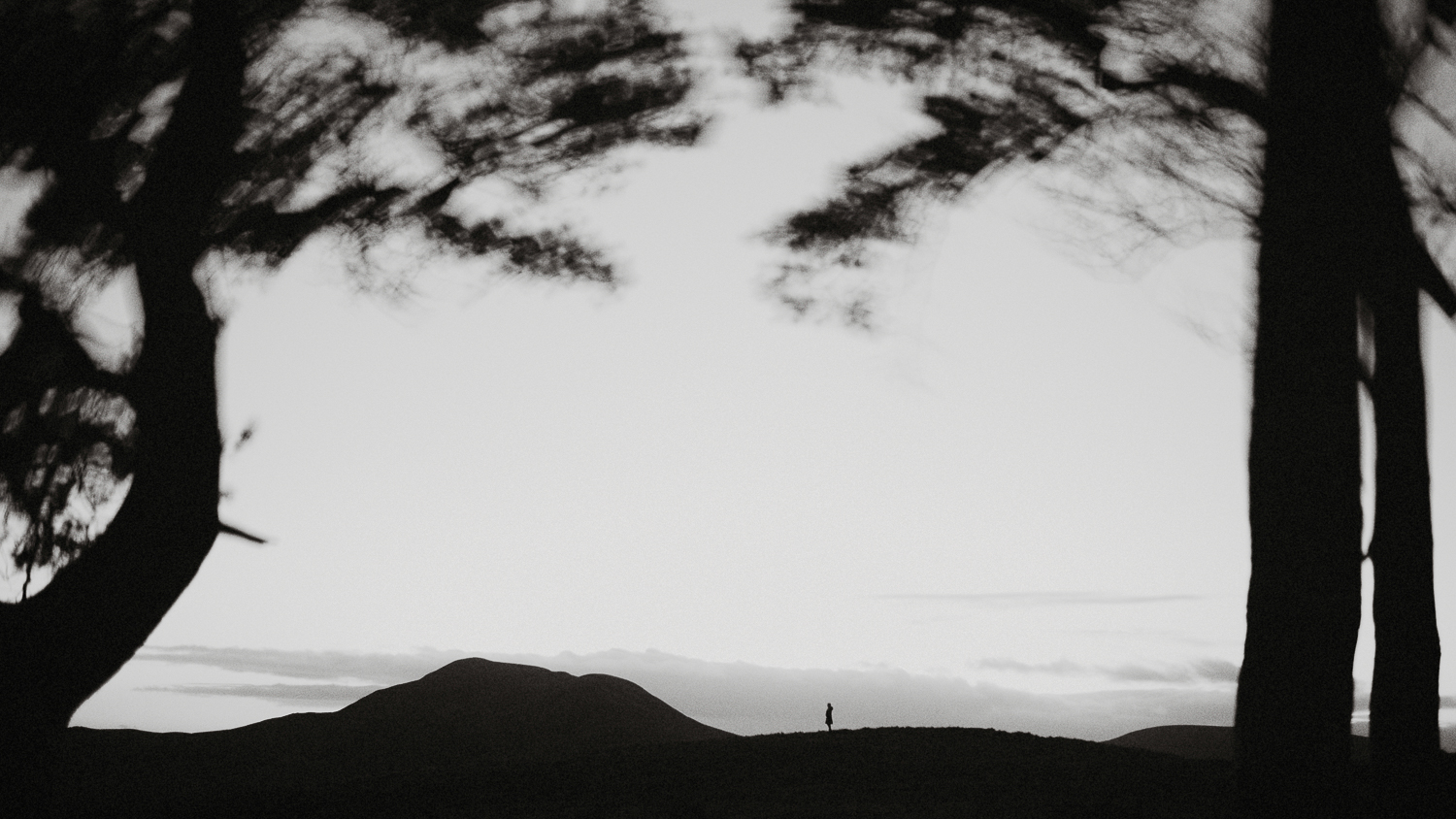 Scotland-Midlothian-Penicuik-Pentlands-Shooting Marlene