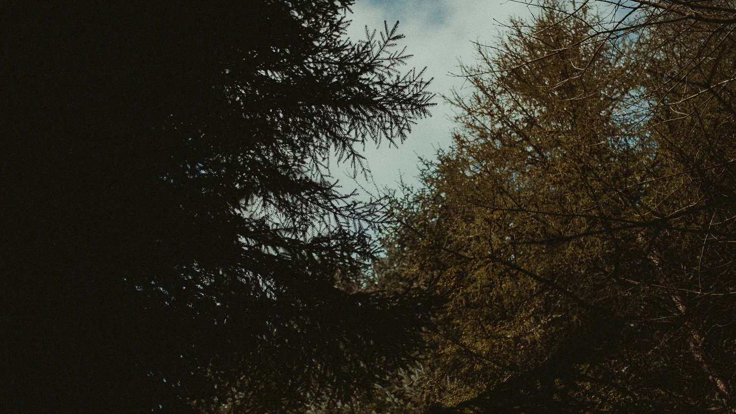 Scotland-Midlothian-Penicuik-Shooting with Taryn and Ewan