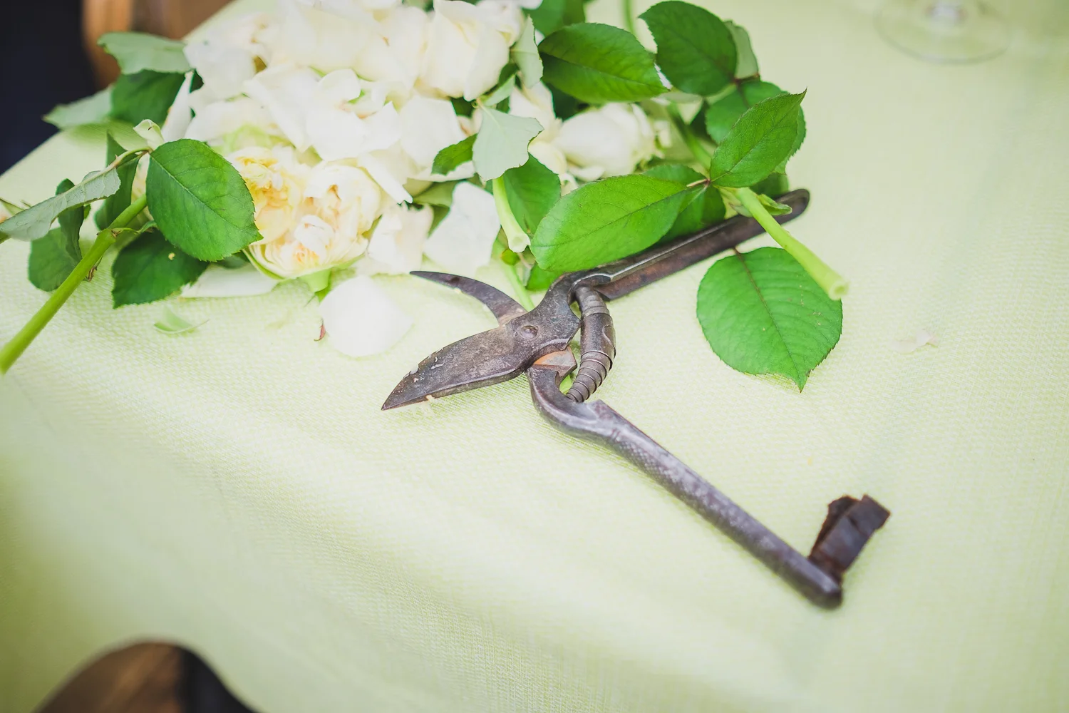 France - Pouilly-le-Monial - Wedding E+D
