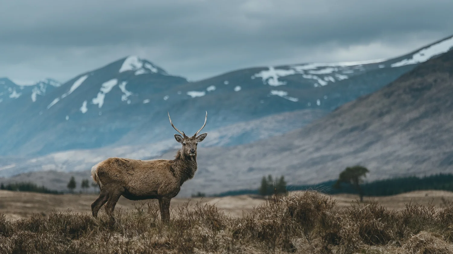 0004-workshop-glencoe-skye-20180507131422.jpg