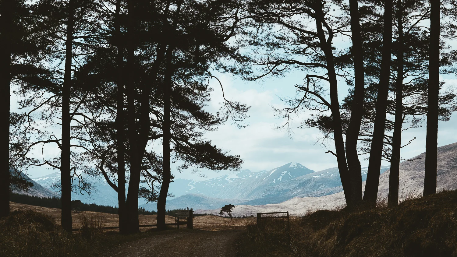 0011-workshop-glencoe-skye-20180507143108.jpg