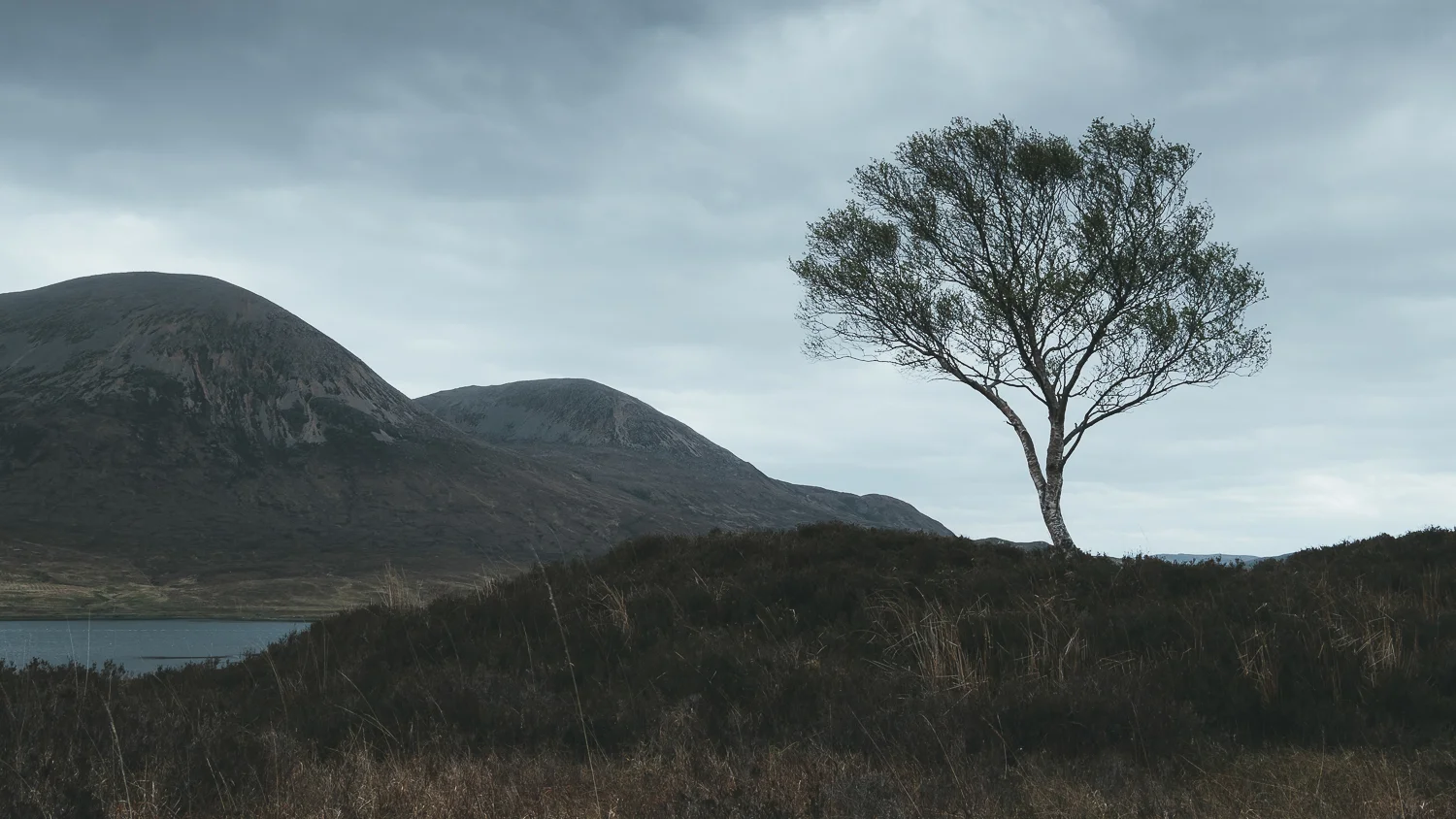 0063-workshop-glencoe-skye-20180511130409.jpg