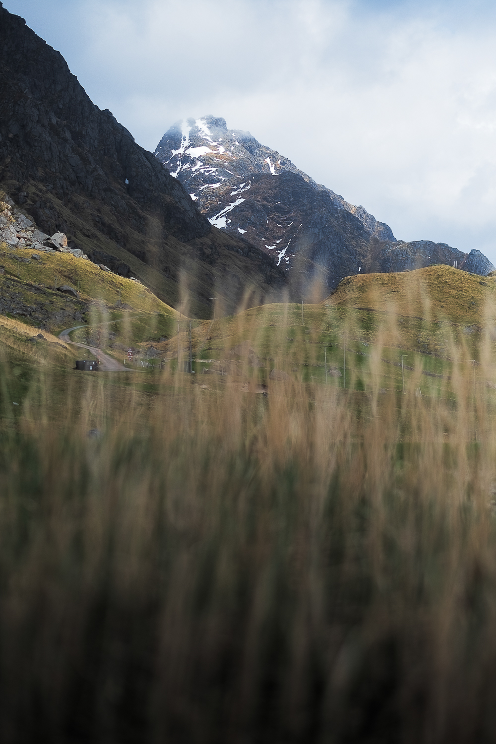 Paysage des îles Lofoten