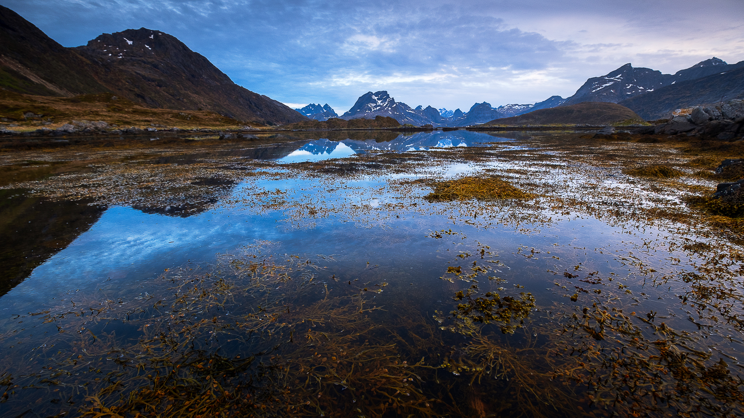 Paysage des îles Lofoten