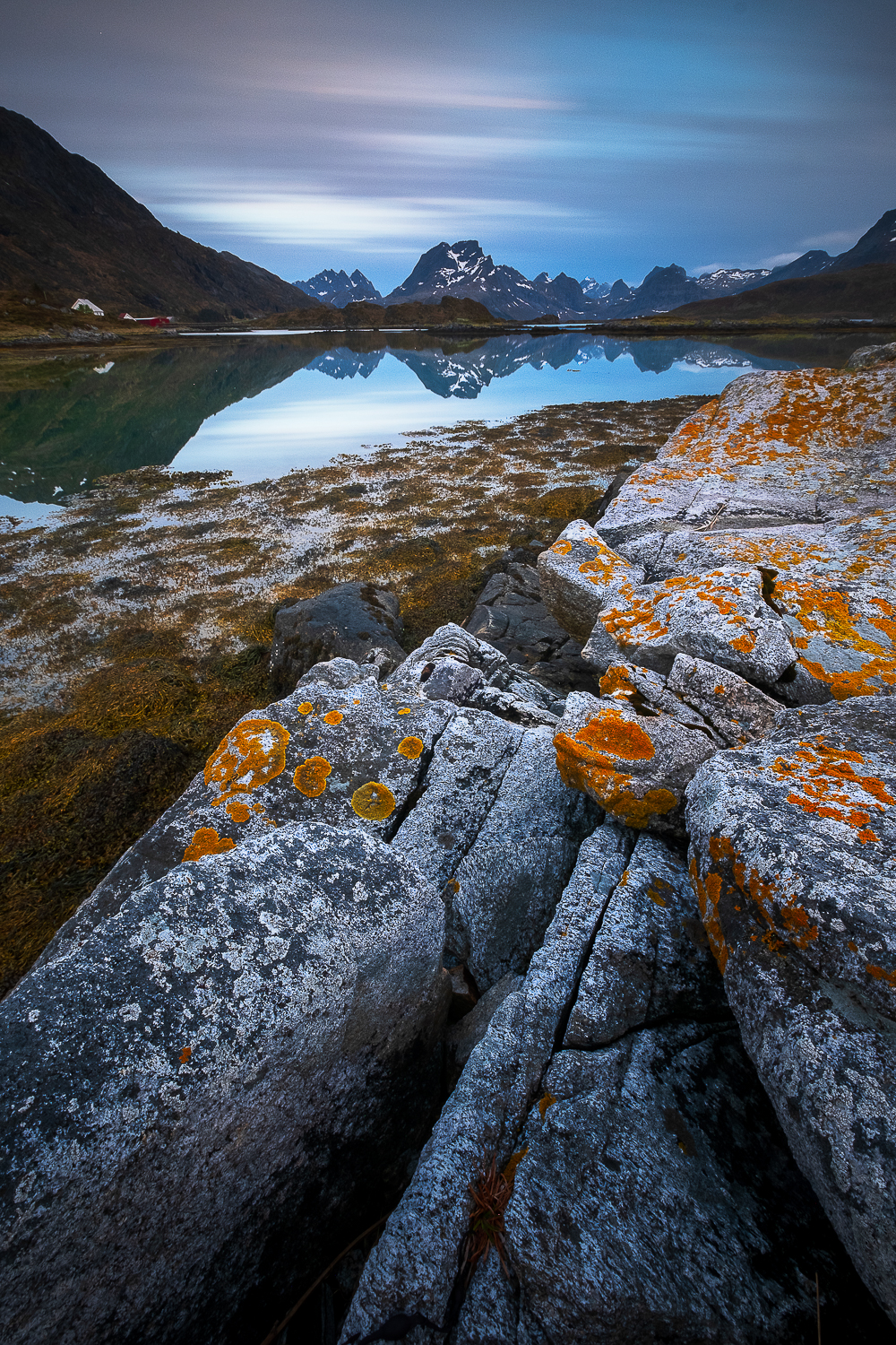 Paysage des îles Lofoten