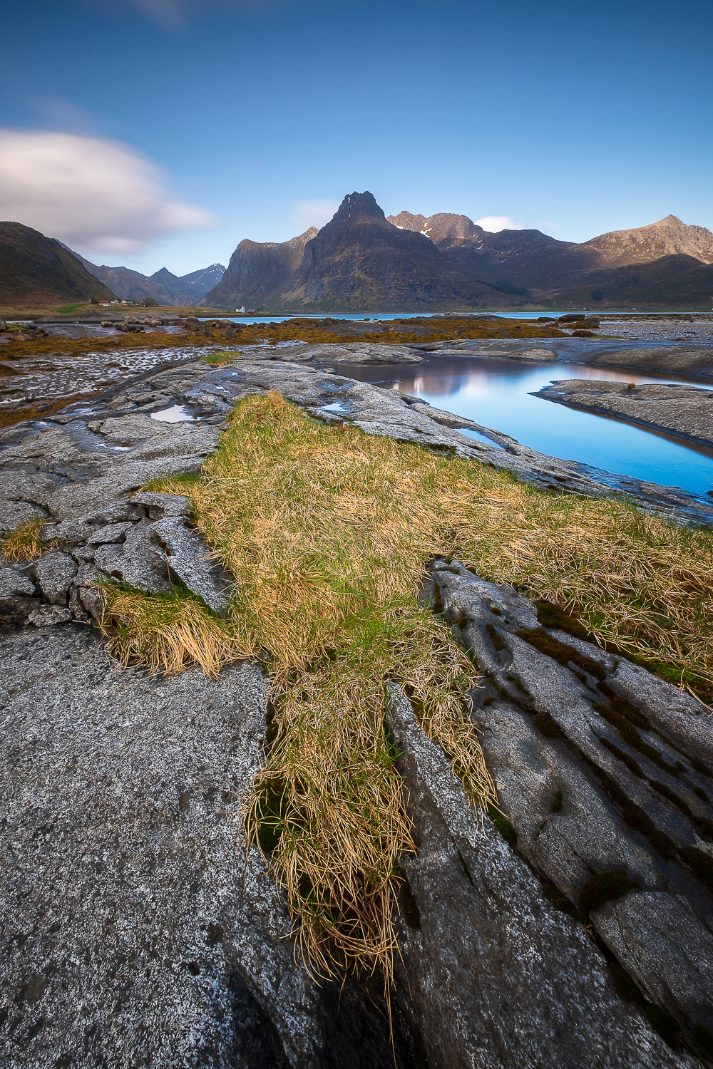 Paysage des îles Lofoten