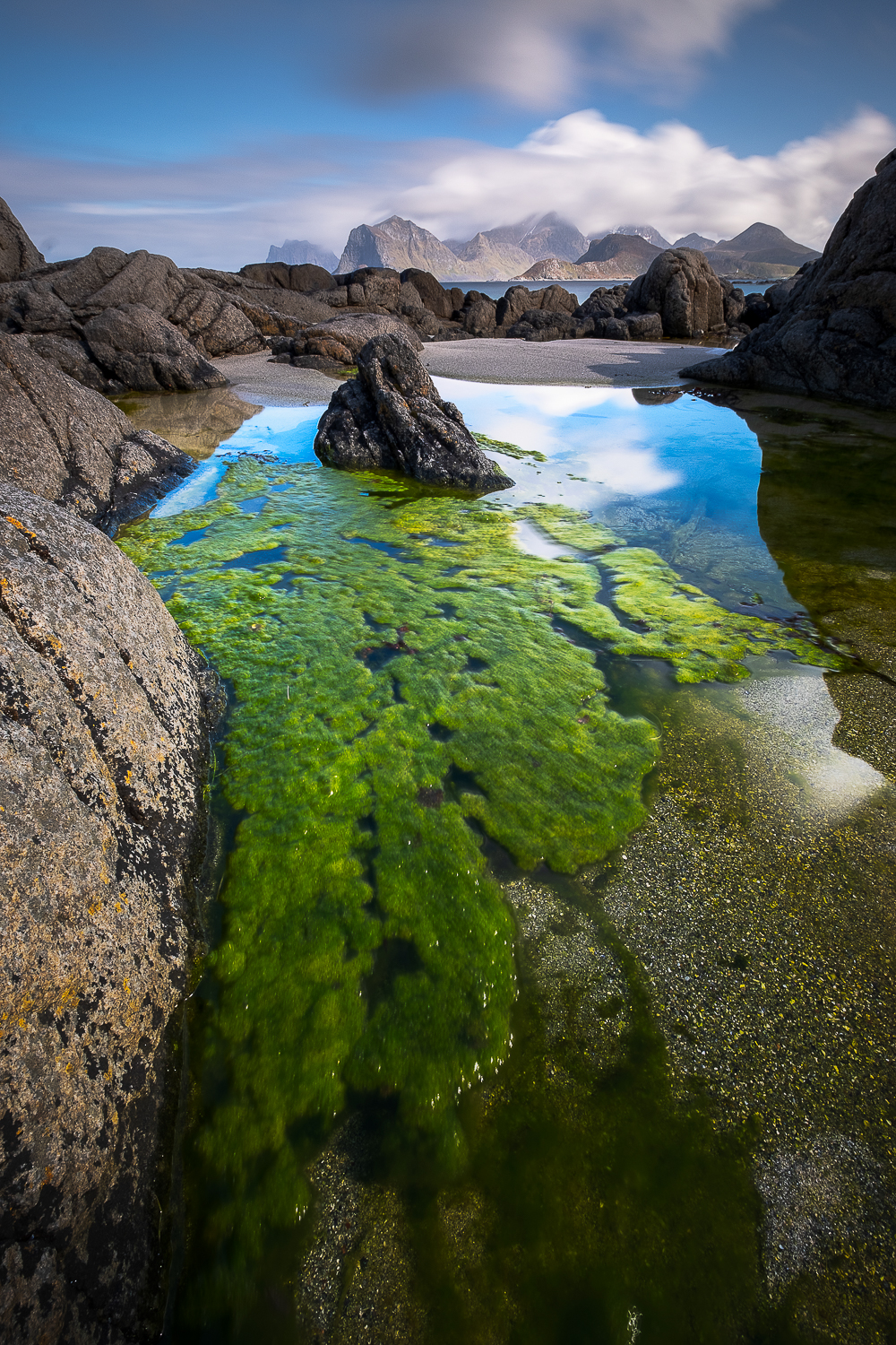 Paysage des îles Lofoten