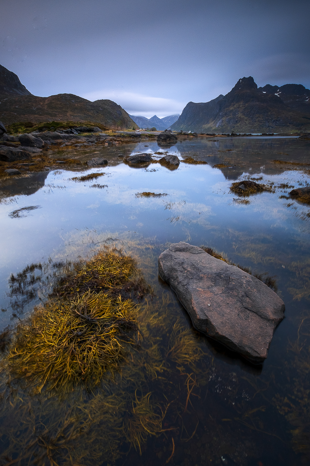 Paysage des îles Lofoten