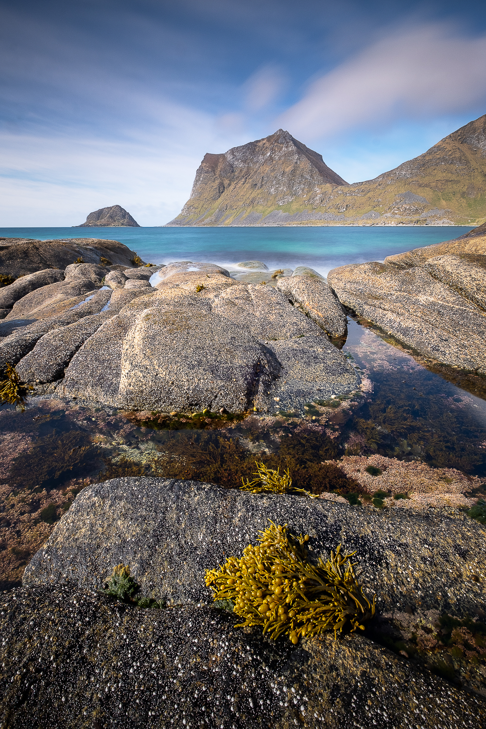 Paysage des îles Lofoten