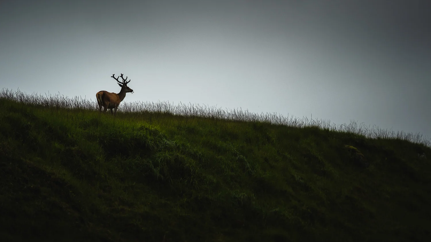 0005-voyage-photo-glencoe-skye-20180723110515.jpg
