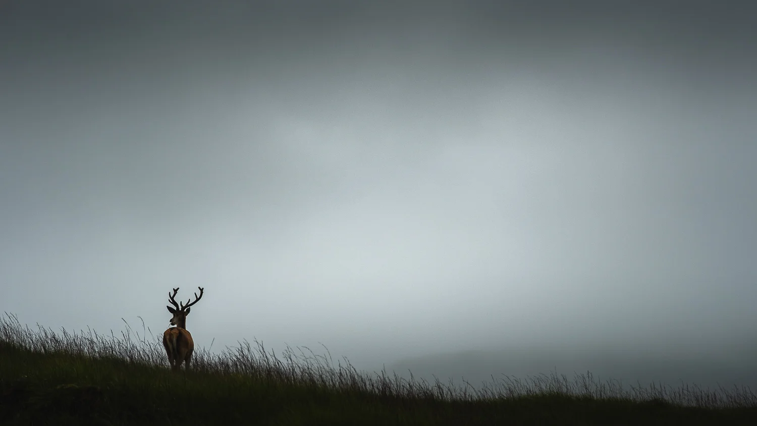0009-voyage-photo-glencoe-skye-20180723111331.jpg