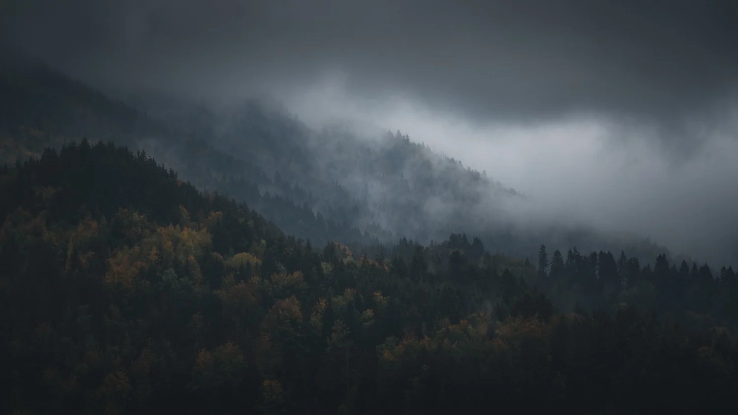 0010-france-savoie-chartreuse-cirque-saint même-20181001160318-compress.jpg