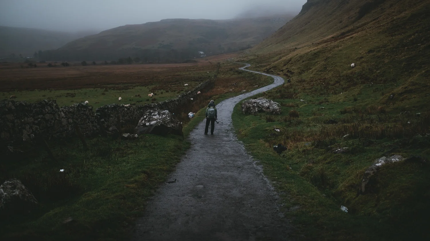 0042-ecosse-automne-voyage-photo-20181023162707-compress.jpg