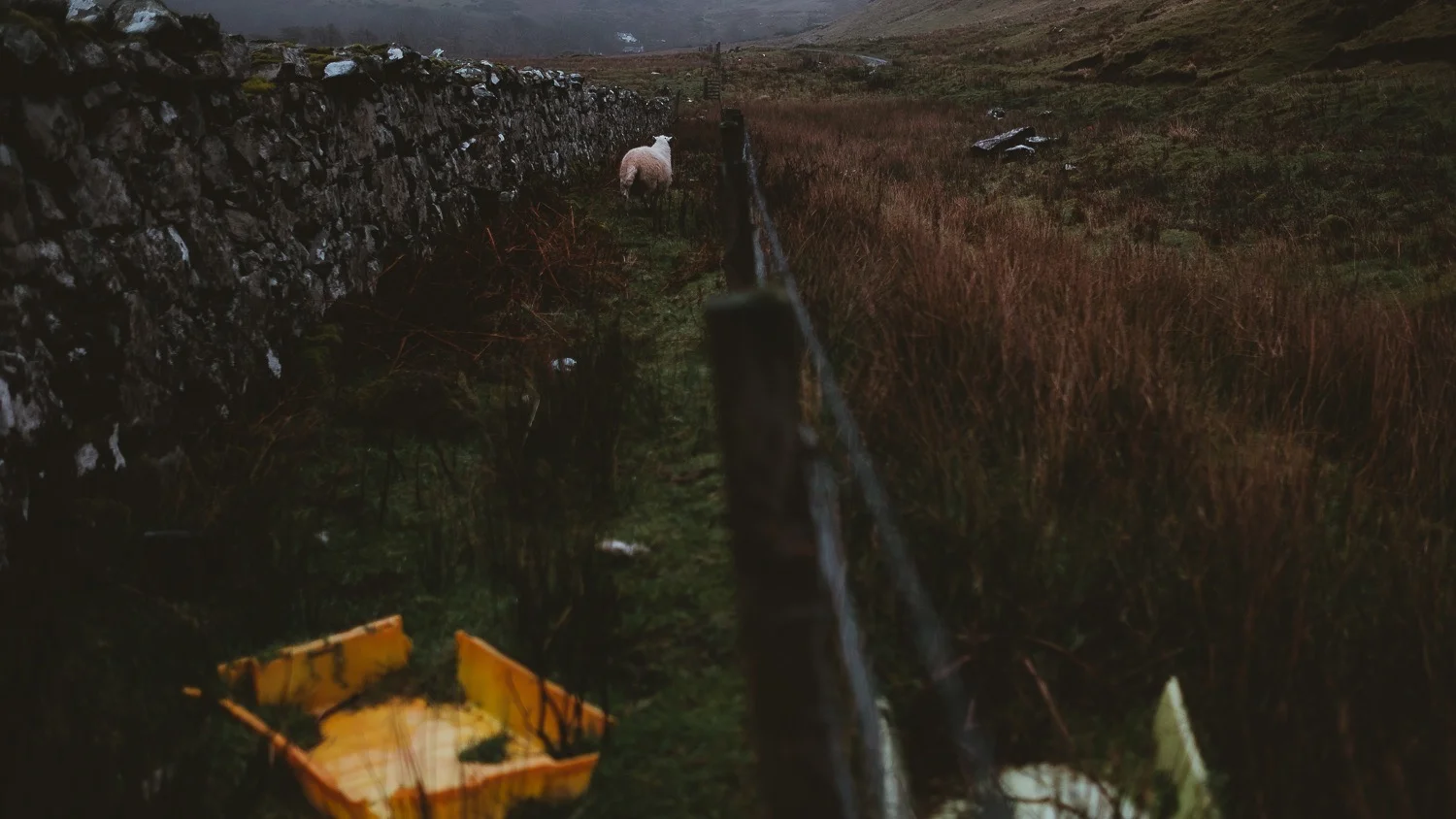 0044-ecosse-automne-voyage-photo-20181023162905-compress.jpg