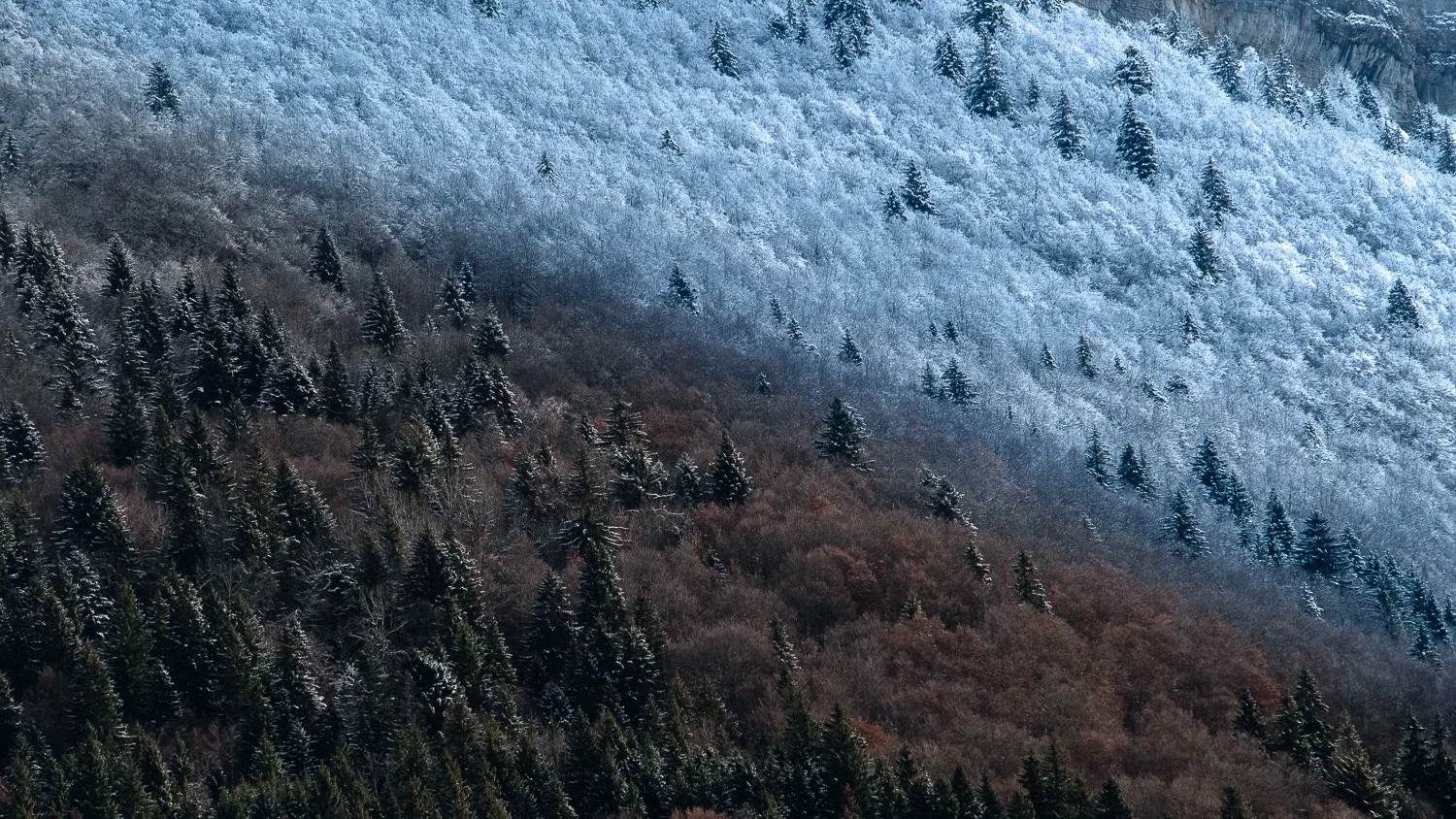 0003-france-savoie-chartreuse-entremont-20181201125405-compress.jpg