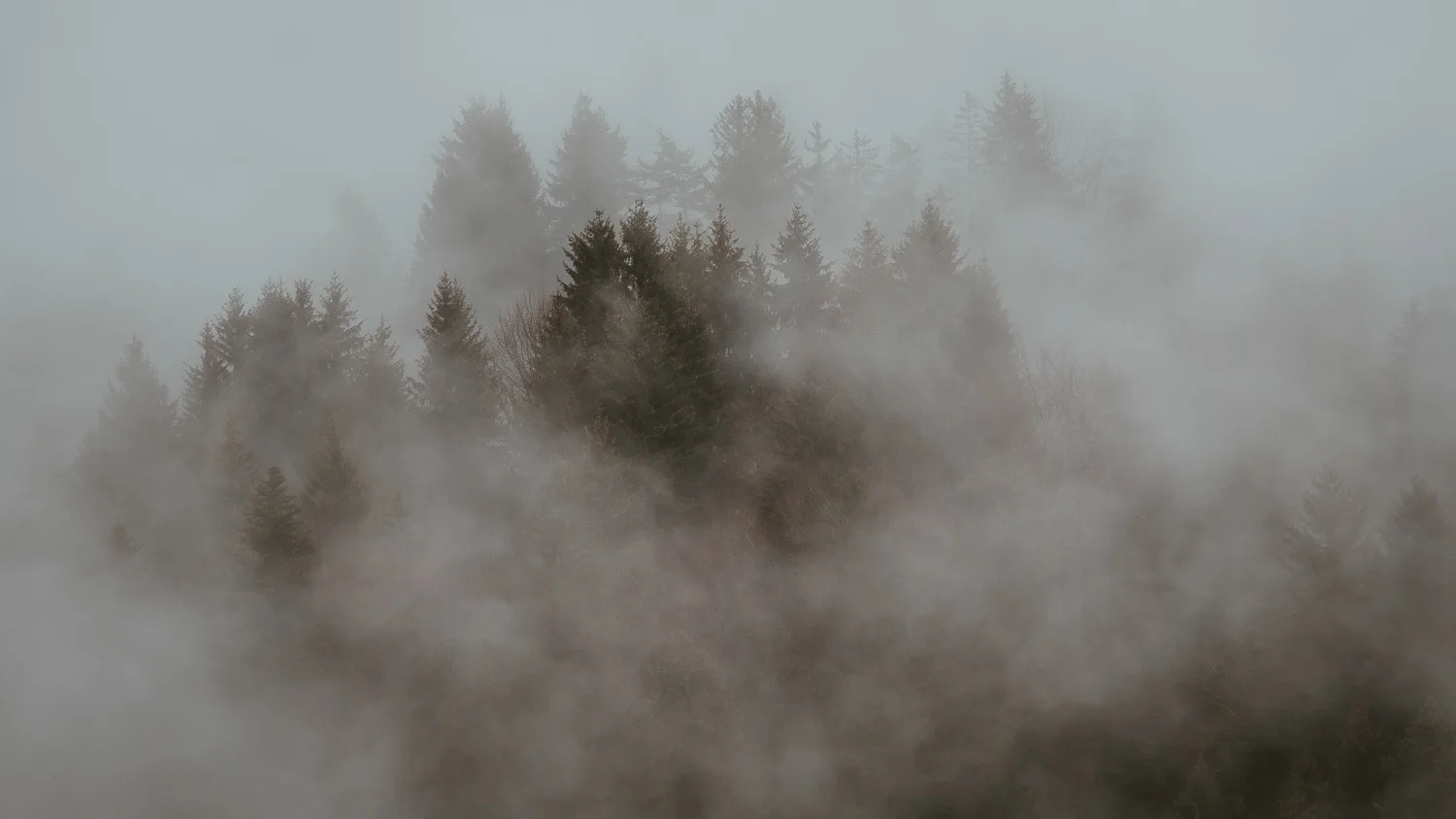 0001-france-savoie-chartreuse-brume-20181206121107-compress.jpg