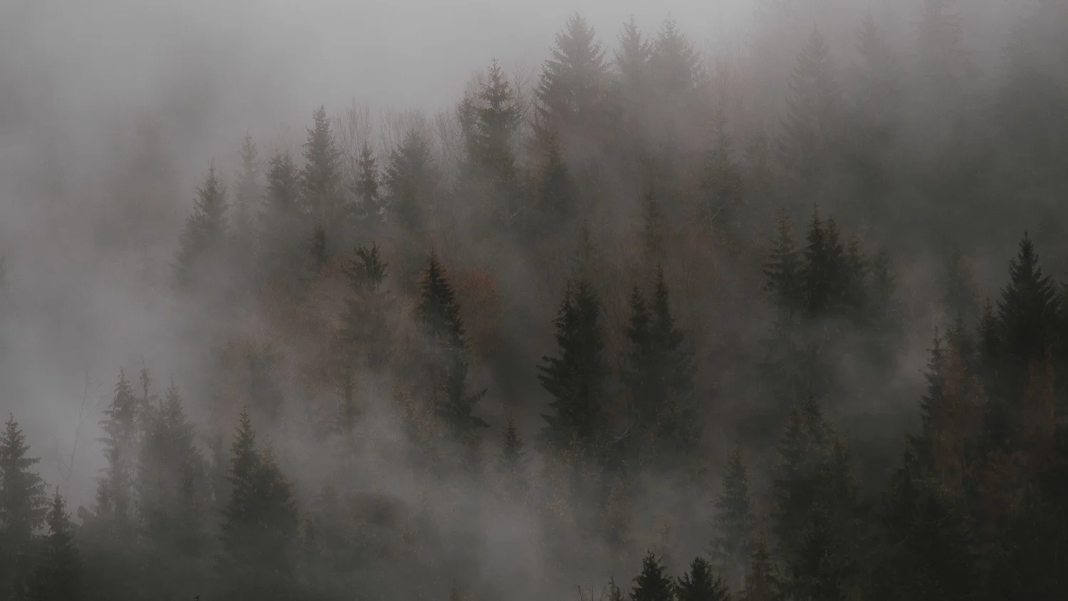 0002-france-savoie-chartreuse-brume-20181206121155-compress.jpg