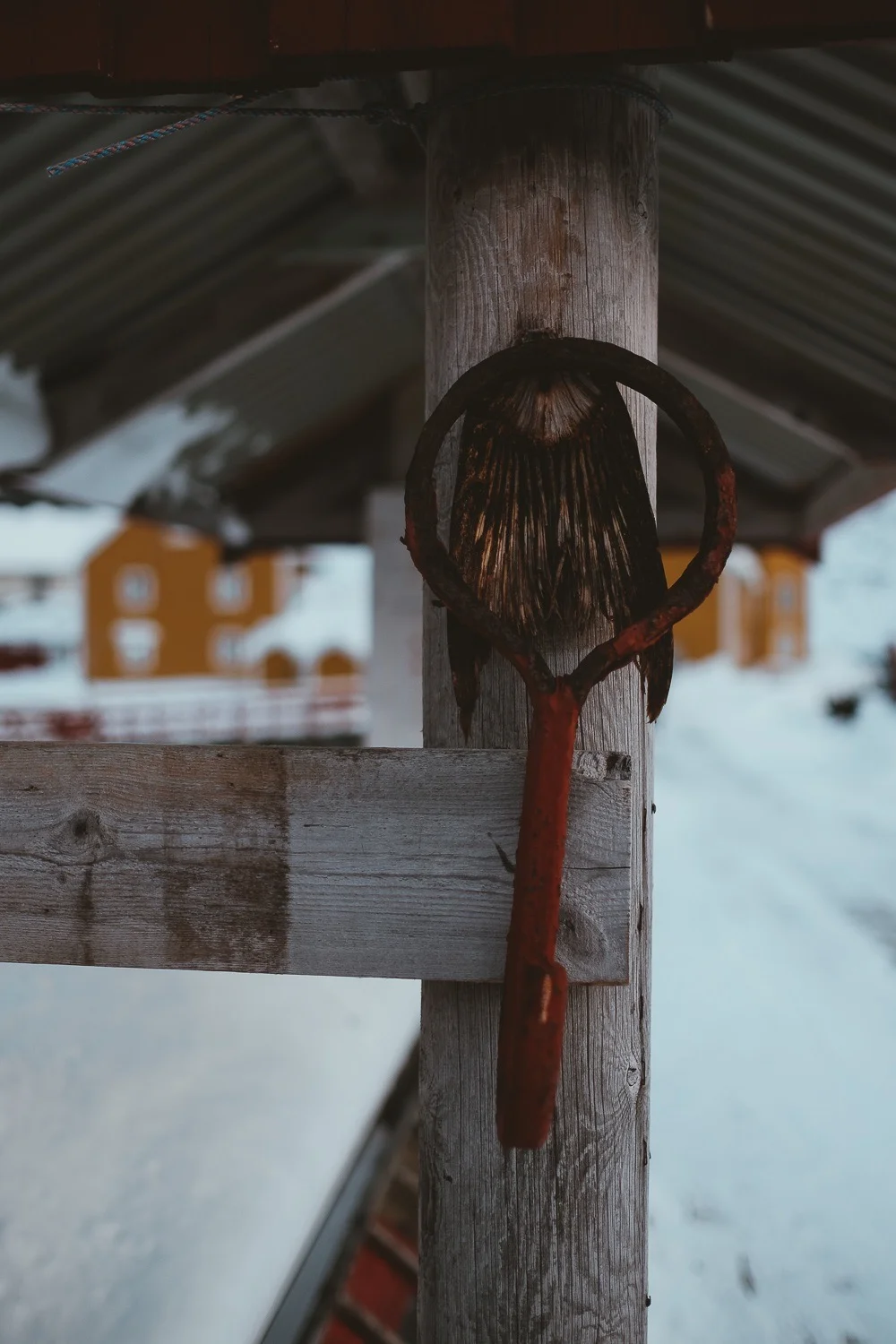 0072-norvege-lofoten-workshop-storm-20190202104316-compress.jpg