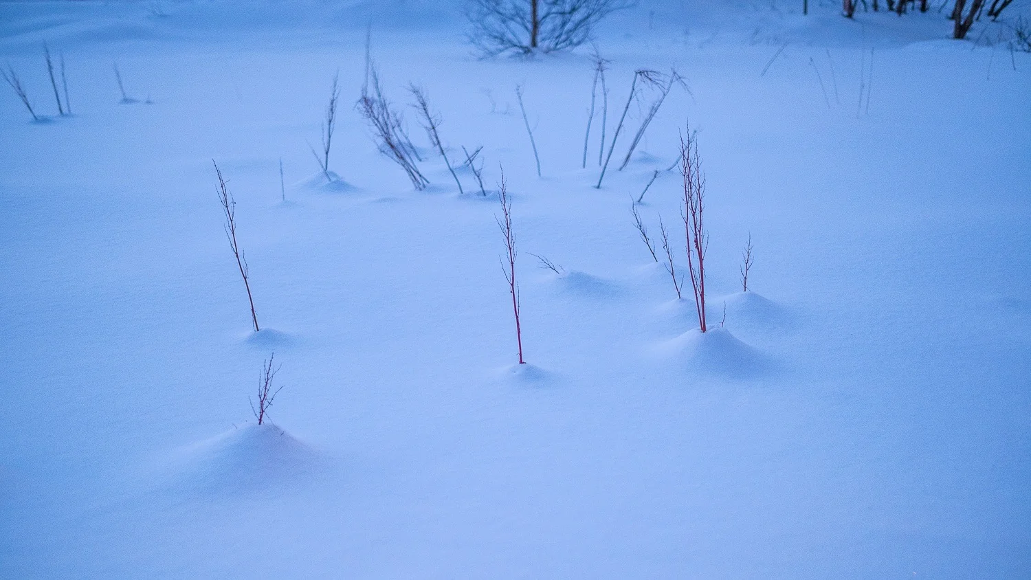 0059-norvege-lofoten-workshop-storm-20190201172431-compress.jpg