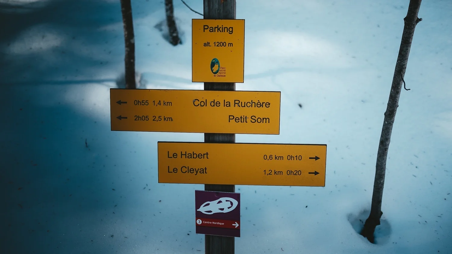 0003-isere-chartreuse-randonnee-raquette-20190217131811-compress.jpg