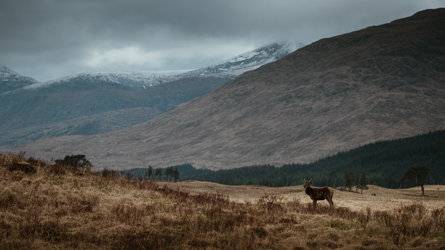 0010-scotland-tamron-le monde de la photo-paysage-20190507165357-compress.jpg